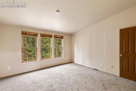 Tiny photo for 534 Poncha Creek Trail, Florissant, CO 80816 (MLS # 5825847)