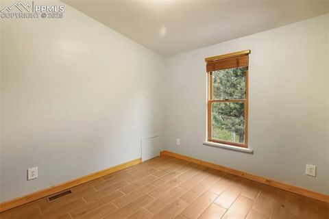 Tiny photo for 534 Poncha Creek Trail, Florissant, CO 80816 (MLS # 5825847)