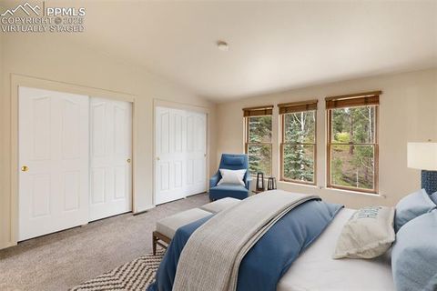 Tiny photo for 534 Poncha Creek Trail, Florissant, CO 80816 (MLS # 5825847)