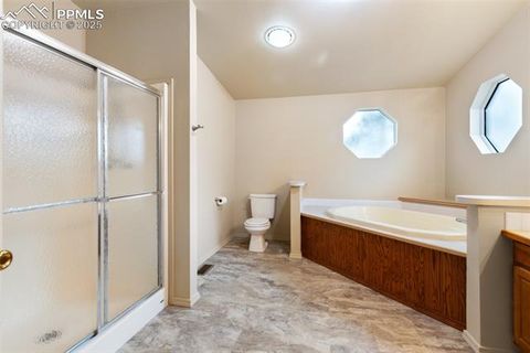 Tiny photo for 534 Poncha Creek Trail, Florissant, CO 80816 (MLS # 5825847)