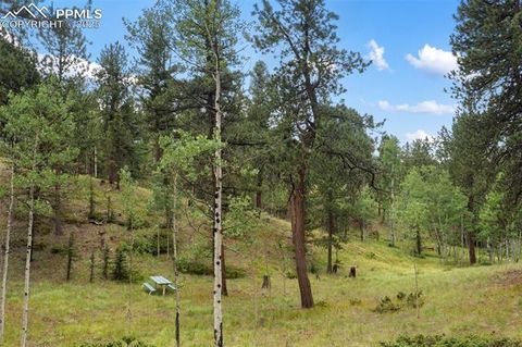 Tiny photo for 534 Poncha Creek Trail, Florissant, CO 80816 (MLS # 5825847)