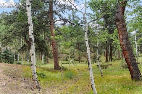 Tiny photo for 534 Poncha Creek Trail, Florissant, CO 80816 (MLS # 5825847)