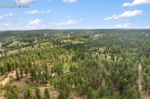 Tiny photo for 534 Poncha Creek Trail, Florissant, CO 80816 (MLS # 5825847)