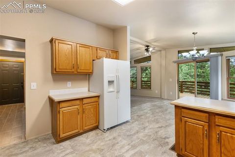 Tiny photo for 534 Poncha Creek Trail, Florissant, CO 80816 (MLS # 5825847)