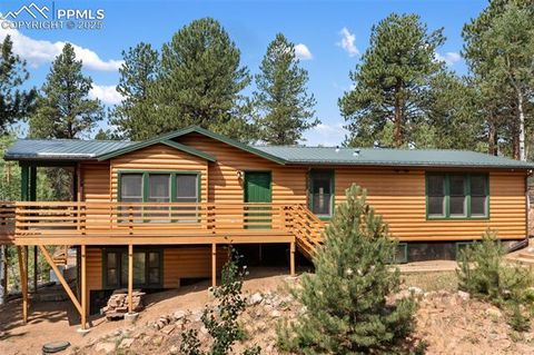 Tiny photo for 534 Poncha Creek Trail, Florissant, CO 80816 (MLS # 5825847)