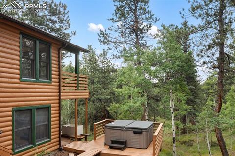 Tiny photo for 534 Poncha Creek Trail, Florissant, CO 80816 (MLS # 5825847)