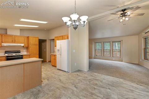 Tiny photo for 534 Poncha Creek Trail, Florissant, CO 80816 (MLS # 5825847)