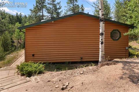 Tiny photo for 534 Poncha Creek Trail, Florissant, CO 80816 (MLS # 5825847)