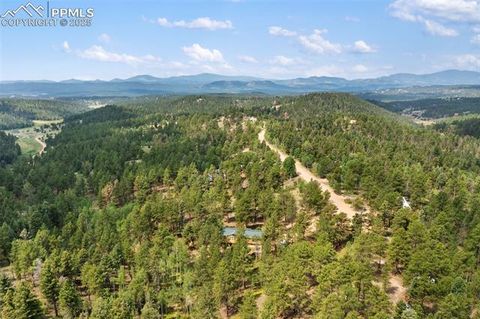 Tiny photo for 534 Poncha Creek Trail, Florissant, CO 80816 (MLS # 5825847)