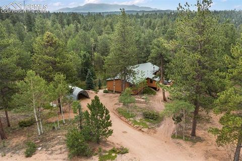 Photo of 534 Poncha Creek Trail, Florissant, CO 80816 (MLS # 5825847)