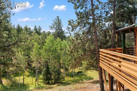Tiny photo for 534 Poncha Creek Trail, Florissant, CO 80816 (MLS # 5825847)