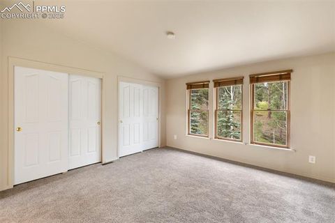 Tiny photo for 534 Poncha Creek Trail, Florissant, CO 80816 (MLS # 5825847)