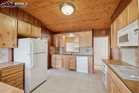 Tiny photo for 150 Apache Trail, Woodland Park, CO 80863 (MLS # 1461738)