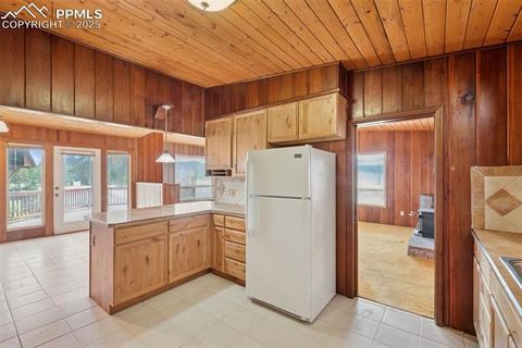 Tiny photo for 150 Apache Trail, Woodland Park, CO 80863 (MLS # 1461738)