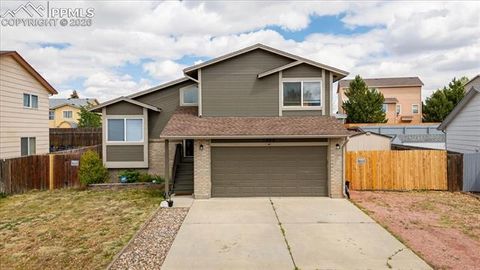 Photo of 1249 Marsh Hawk Drive, Colorado Springs, CO 80911 (MLS # 8284471)