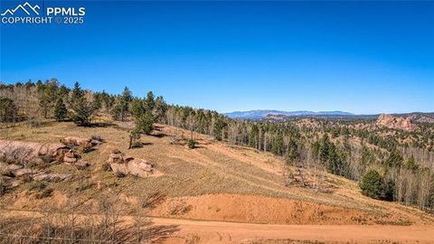1343 Golden Cycle Circle Cripple Creek CO 80813