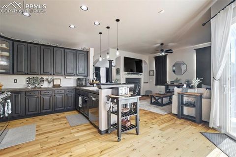 Tiny photo for 10388 Mount Wilson Place, Peyton, CO 80831 (MLS # 5861074)