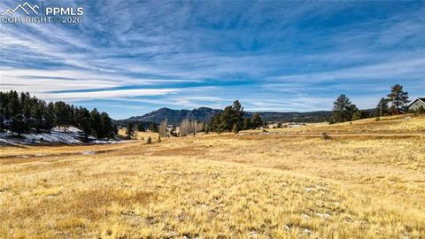 Photo of 150 High Pasture Road, Florissant, CO 80816 (MLS # 2787355)