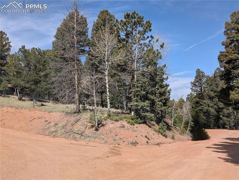 971 Spring Valley Lane Florissant CO 80816