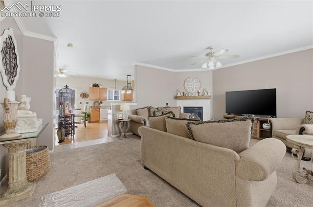 7286 Brush Hollow Drive