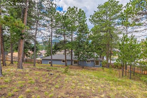 Tiny photo for 303 S Baldwin Street, Woodland Park, CO 80863 (MLS # 5624696)