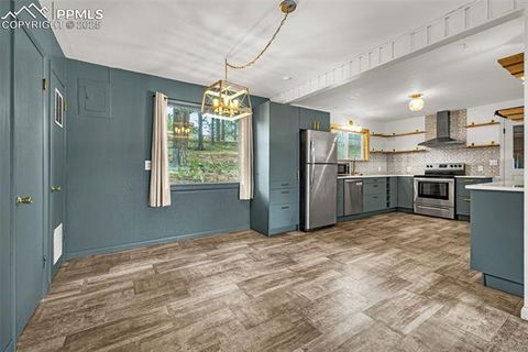Tiny photo for 303 S Baldwin Street, Woodland Park, CO 80863 (MLS # 5624696)