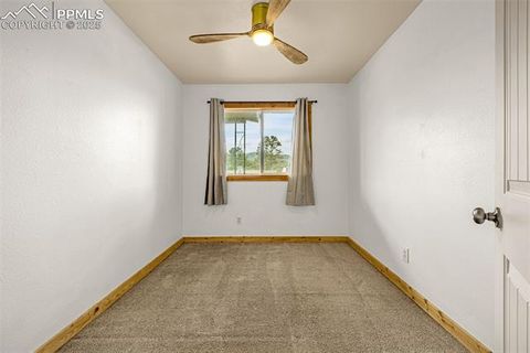 Tiny photo for 303 S Baldwin Street, Woodland Park, CO 80863 (MLS # 5624696)