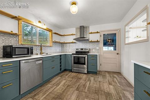 Tiny photo for 303 S Baldwin Street, Woodland Park, CO 80863 (MLS # 5624696)