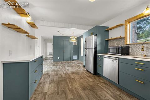 Tiny photo for 303 S Baldwin Street, Woodland Park, CO 80863 (MLS # 5624696)