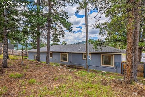 Tiny photo for 303 S Baldwin Street, Woodland Park, CO 80863 (MLS # 5624696)
