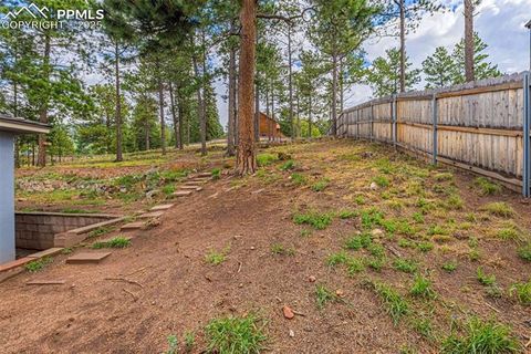 Tiny photo for 303 S Baldwin Street, Woodland Park, CO 80863 (MLS # 5624696)