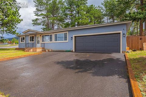 Tiny photo for 303 S Baldwin Street, Woodland Park, CO 80863 (MLS # 5624696)