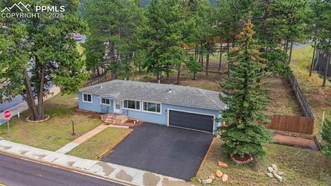 Tiny photo for 303 S Baldwin Street, Woodland Park, CO 80863 (MLS # 5624696)