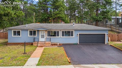 Tiny photo for 303 S Baldwin Street, Woodland Park, CO 80863 (MLS # 5624696)