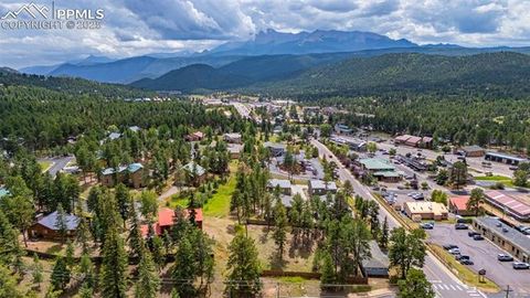 Tiny photo for 303 S Baldwin Street, Woodland Park, CO 80863 (MLS # 5624696)