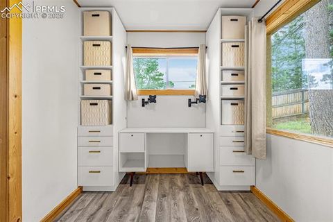 Tiny photo for 303 S Baldwin Street, Woodland Park, CO 80863 (MLS # 5624696)