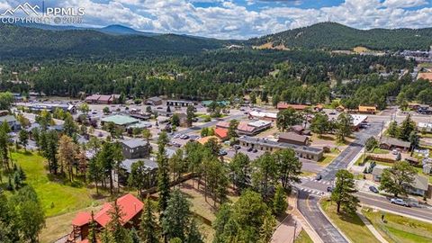 Tiny photo for 303 S Baldwin Street, Woodland Park, CO 80863 (MLS # 5624696)