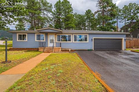 Photo of 303 S Baldwin Street, Woodland Park, CO 80863 (MLS # 5624696)