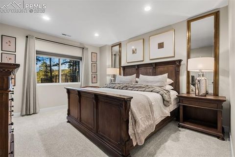Tiny photo for 620 Chipmunk Drive, Woodland Park, CO 80863 (MLS # 3887511)