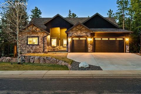 Tiny photo for 620 Chipmunk Drive, Woodland Park, CO 80863 (MLS # 3887511)