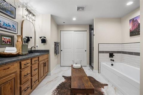 Tiny photo for 620 Chipmunk Drive, Woodland Park, CO 80863 (MLS # 3887511)