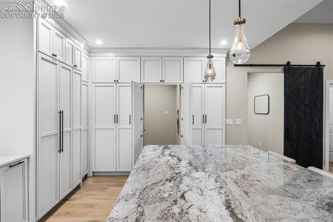 Tiny photo for 620 Chipmunk Drive, Woodland Park, CO 80863 (MLS # 3887511)