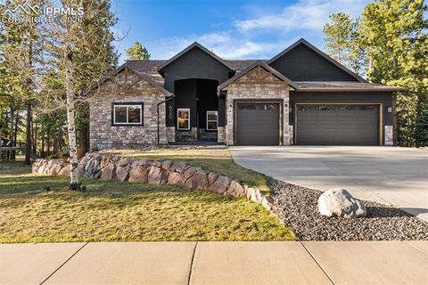 Photo of 620 Chipmunk Drive, Woodland Park, CO 80863 (MLS # 3887511)