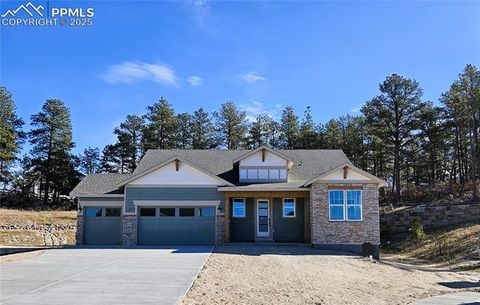 Photo of 16229 Gammon Court, Monument, CO 80132 (MLS # 1881091)