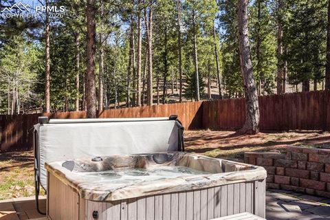Tiny photo for 1185 Karen Lane, Woodland Park, CO 80863 (MLS # 8095565)