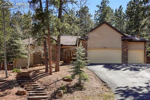 Photo of 1185 Karen Lane, Woodland Park, CO 80863 (MLS # 8095565)