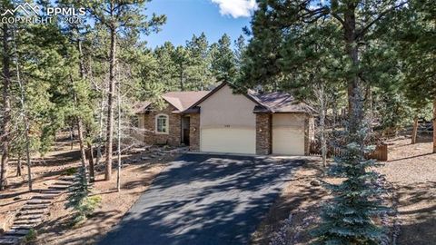 Tiny photo for 1185 Karen Lane, Woodland Park, CO 80863 (MLS # 8095565)