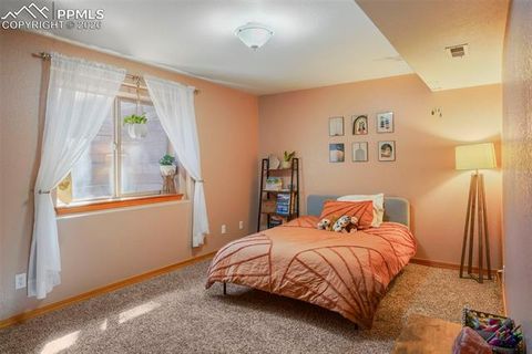 Tiny photo for 1185 Karen Lane, Woodland Park, CO 80863 (MLS # 8095565)