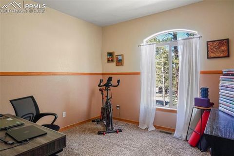 Tiny photo for 1185 Karen Lane, Woodland Park, CO 80863 (MLS # 8095565)