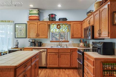 Tiny photo for 1185 Karen Lane, Woodland Park, CO 80863 (MLS # 8095565)